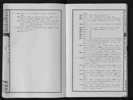 安徽詹氏族谱-中华詹氏统宗谱.pdf电子版预览图5