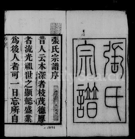 安徽张氏族谱-张氏宗谱 [32卷,首1卷].pdf电子版预览图5