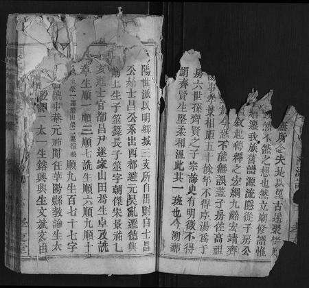 安徽张氏族谱-张氏宗谱 [32卷首3卷].pdf电子版预览图5