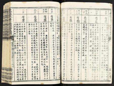 江西张氏族谱-于都张氏第二届联修族谱.pdf电子版预览图5