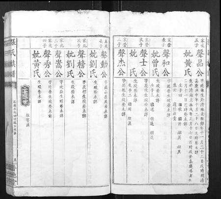 江西张氏族谱-张氏族谱.pdf电子版预览图5