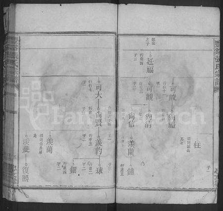 江西张氏族谱-丰谿张氏宗谱 [不分卷].pdf电子版预览图5