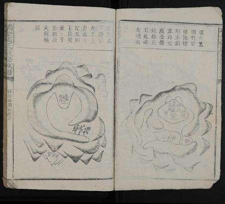 江西张氏族谱-瑞金张氏重修族谱 [不分卷].pdf电子版预览图5