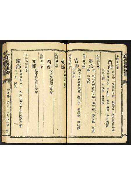 福建林氏族谱-林氏重修族谱.pdf电子版预览图5