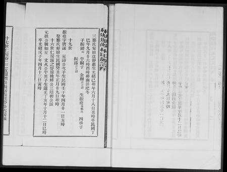 福建林氏族谱-桃源遐龄林氏族谱.pdf电子版预览图5