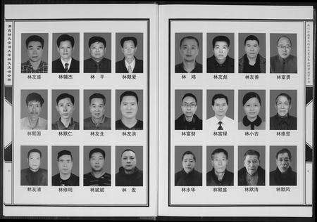 福建林氏族谱-沟西林氏宗谱大坪林氏支谱[全册].pdf电子版预览图5