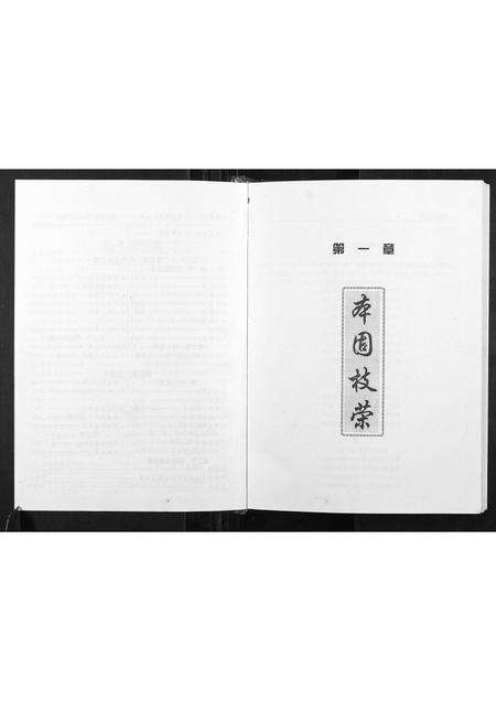 福建林氏族谱-华山林氏族谱.pdf电子版预览图5