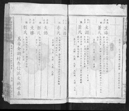 江西邹氏族谱-吉南赣邹氏族谱[不分卷].pdf电子版预览图5