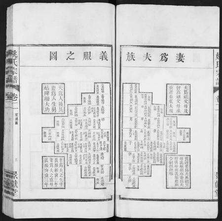 安徽姚氏族谱-当邑姚氏宗谱 [残卷].pdf电子版预览图5