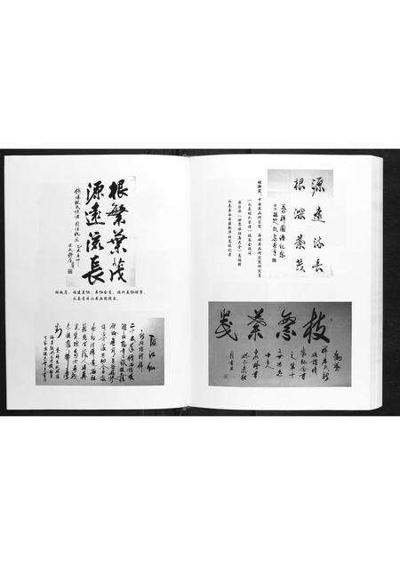 福建林氏族谱-铁场林氏族谱.pdf电子版预览图5