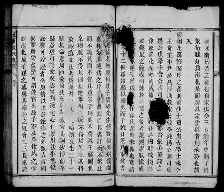 江西徐氏族谱-大原徐氏族谱.pdf电子版预览图5