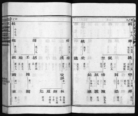 江西俞氏族谱-杉江俞氏宗谱 [纲5卷,目10卷].pdf电子版预览图5