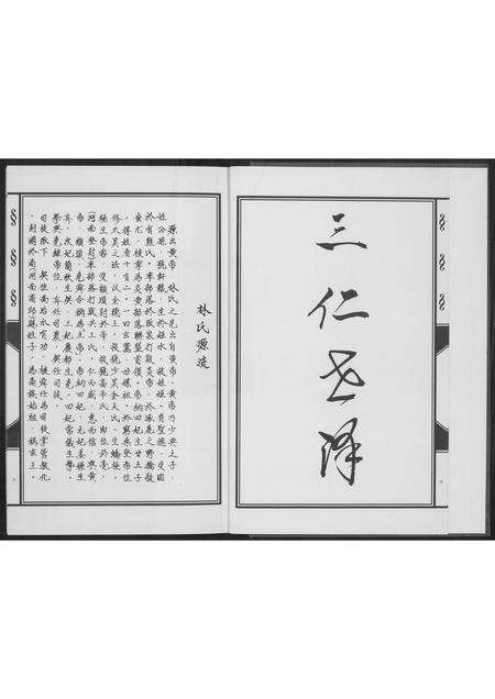 福建林氏族谱-凤池埕头林氏大宗谱.pdf电子版预览图5