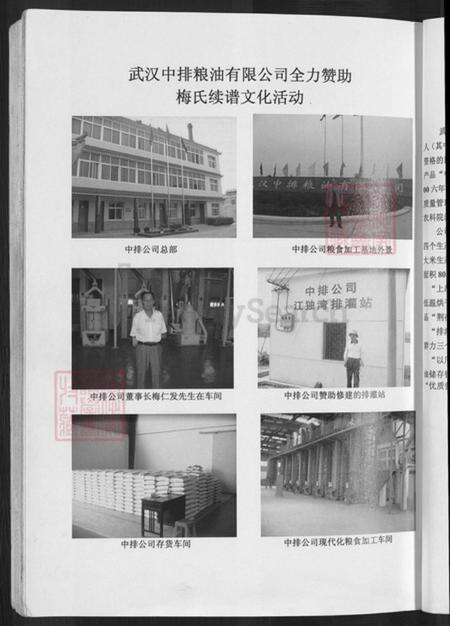 湖北省孝感市孝昌县梅氏汝南堂族谱-梅氏宗谱.武汉黄陂陂南篇.pdf电子版预览图5