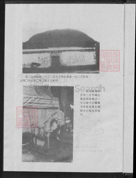 浙江省金华市永康市花街镇王氏族谱-王氏家乘.pdf电子版预览图5