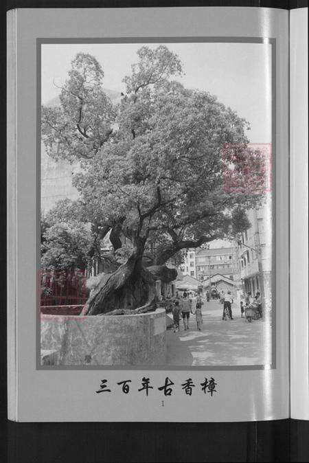 浙江省金华市朱氏族谱-金华沛国朱氏宗谱.pdf电子版预览图5