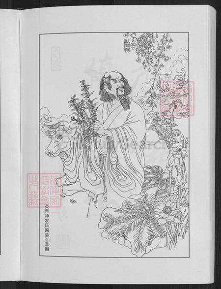 河南省郑州市新密市刘寨镇崔氏正德堂族谱-崔氏族谱.pdf电子版预览图5