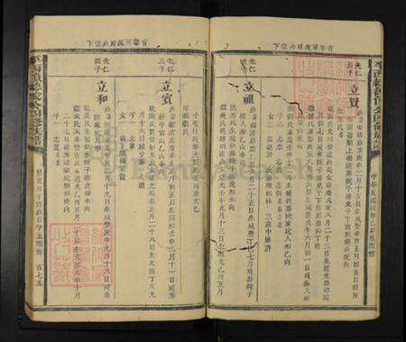 江西省抚州市广昌县驿前镇赖氏族谱-平西赖德俊公四修族谱.pdf电子版预览图5