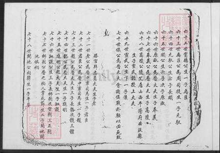 福建省漳州市平和县张氏族谱-张氏世谱.pdf电子版预览图5