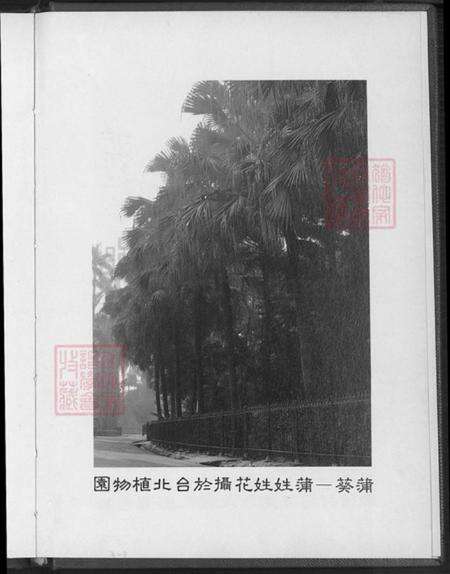 福建省福州市闽侯县蒲氏河东堂族谱-蒲姓族谱.pdf电子版预览图5