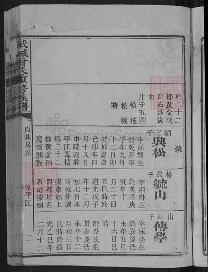 山东省德州市武城县曾氏族谱-武城曾氏重修族谱.pdf电子版预览图5