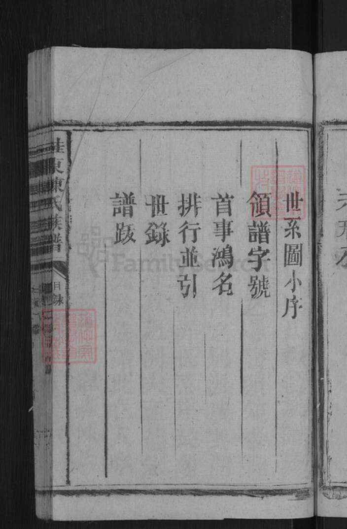 湖南省郴州市桂东县大塘镇陈氏颕川堂族谱-陈氏族谱.pdf电子版预览图5