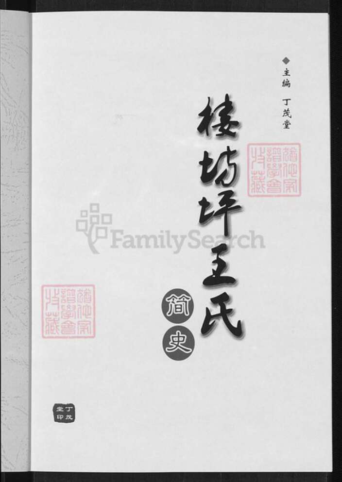 山西省吕梁市岚县界河口镇王氏族谱-楼坊坪王氏.pdf电子版预览图5