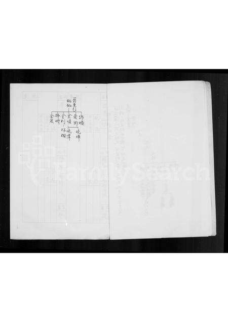 福建林氏族谱-林氏族谱.pdf电子版预览图5