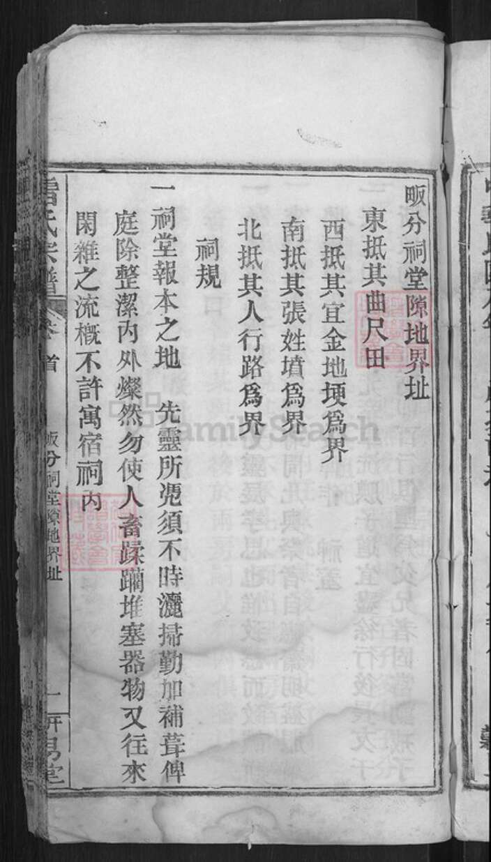 湖北省武汉市新洲区李集街道雷氏研易堂族谱-雷氏宗谱.pdf电子版预览图5