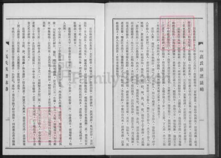 福建省泉州市安溪县大坪乡高氏族谱-高氏族谱.pdf电子版预览图5