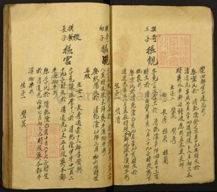 湖南省怀化市洪江市大崇乡孙氏族谱-颜溪崇乡孙氏九修草谱.pdf电子版预览图5