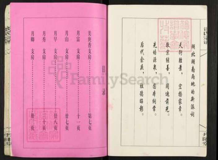 湖南省益阳市沅江市谈氏丹阳堂族谱-谈氏宗谱.pdf电子版预览图5