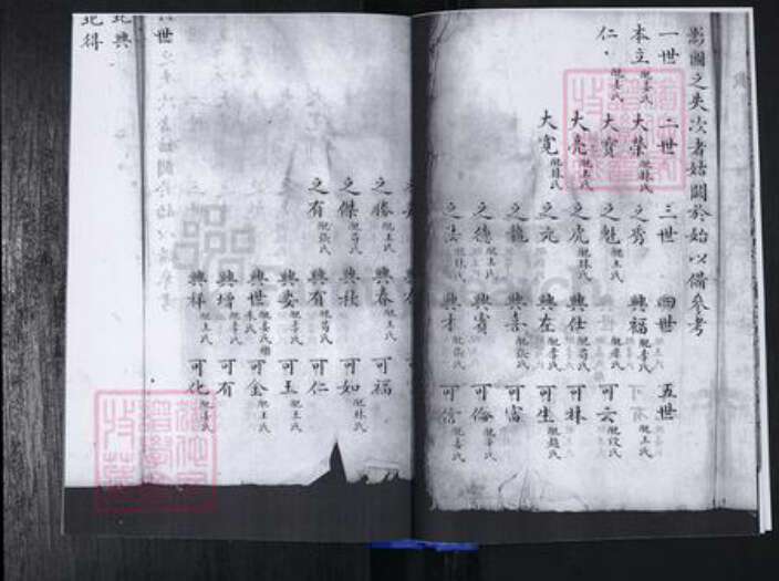 山东省青岛市崂山区唐氏族谱-青山社区唐氏族谱.pdf电子版预览图5