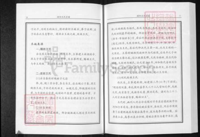 河南省濮阳市华龙区王氏族谱-濮阳王氏宗谱.pdf电子版预览图5