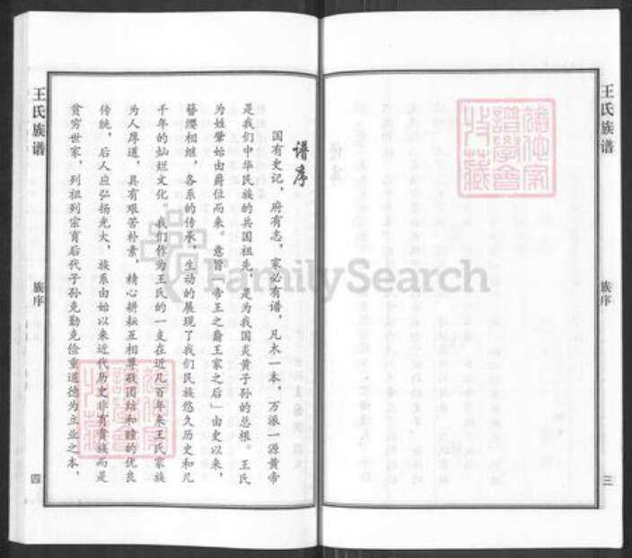 河北省沧州沧州地区南皮王氏族谱-王氏族谱.pdf电子版预览图5