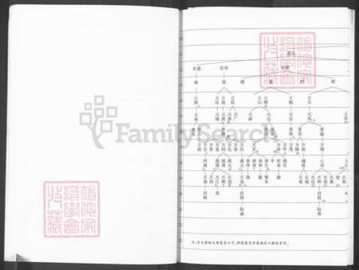 山东省济南市历城区王氏族谱-西顿邱王氏北支族谱.pdf电子版预览图5