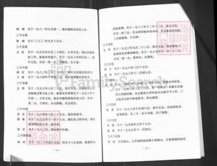 广东省揭阳市揭东区霖磐镇王氏族谱-王氏族谱.开石公世系.pdf电子版预览图5