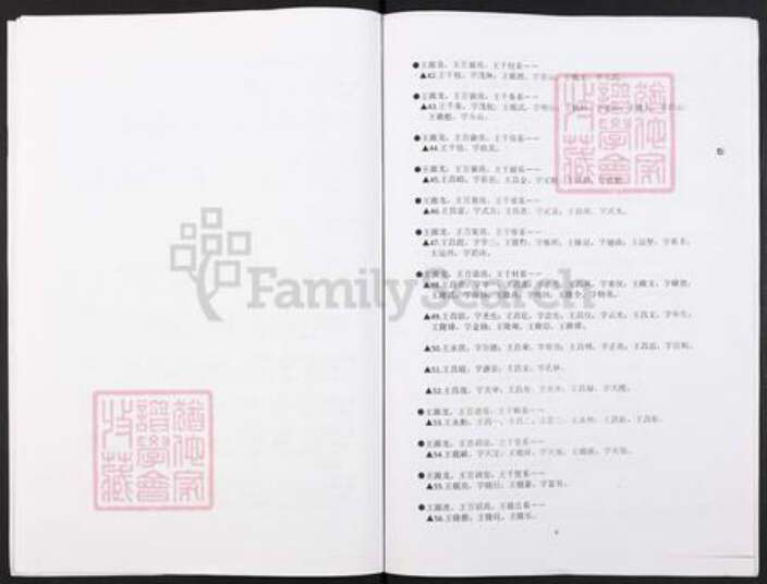 湖南省娄底市双峰县王氏族谱-湖南省双峰县同德王氏湖广填四川名单.pdf电子版预览图5