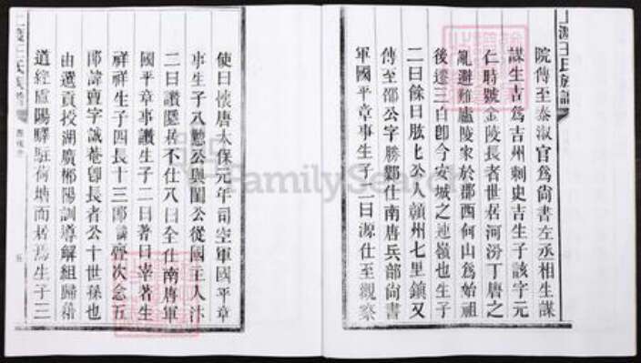 湖南省郴州市宜章县里田镇王氏族谱-湖南宜章县上渡王氏族谱.pdf电子版预览图5