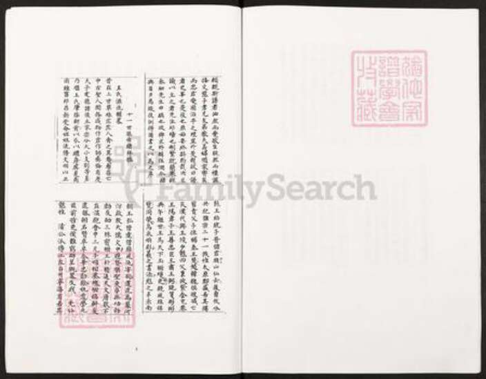 湖南省邵阳市武冈市武冈王氏族谱-王氏族谱垫江县太平镇王家老湾王氏宗族.pdf电子版预览图5