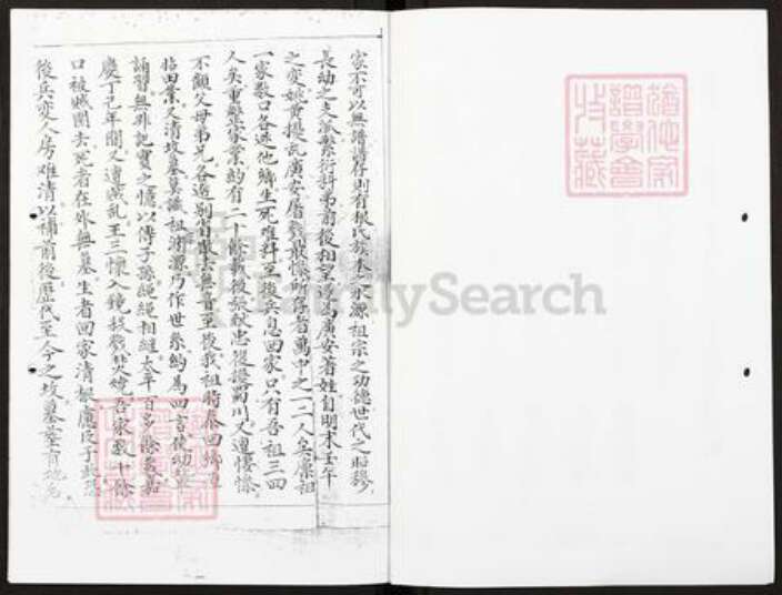 四川省广安市广安区王氏族谱-王氏族谱.pdf电子版预览图5