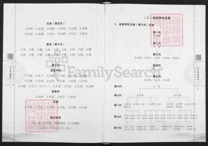 云南省昆明市富民县王氏族谱-王氏族谱.pdf电子版预览图5