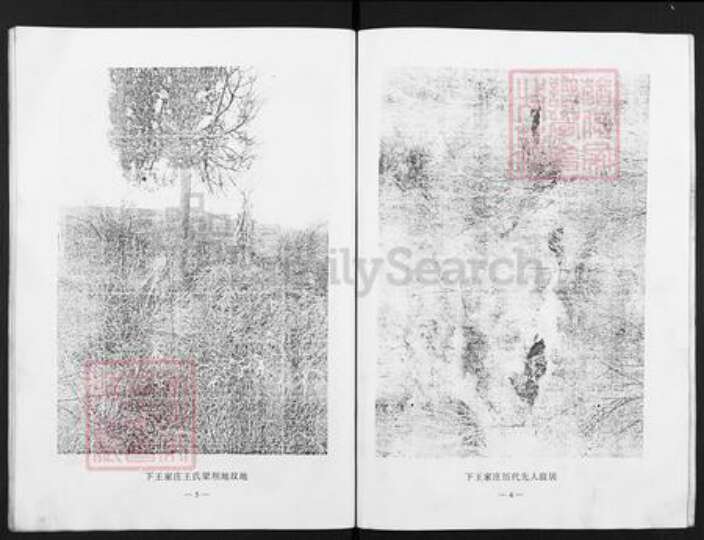 山西省晋中市灵石县翠峰镇王氏族谱-下王家庄王氏族谱.pdf电子版预览图5