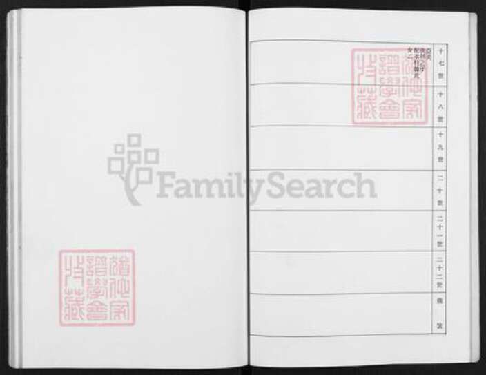 河北省沧州泊头市齐桥镇王氏族谱-王氏宗谱.pdf电子版预览图5