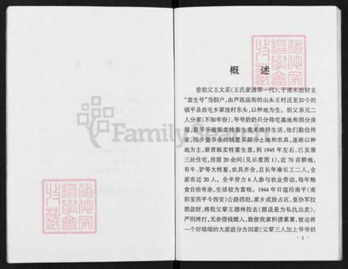 河南省南阳市镇平县曲屯镇王氏族谱-王氏家谱.pdf电子版预览图5