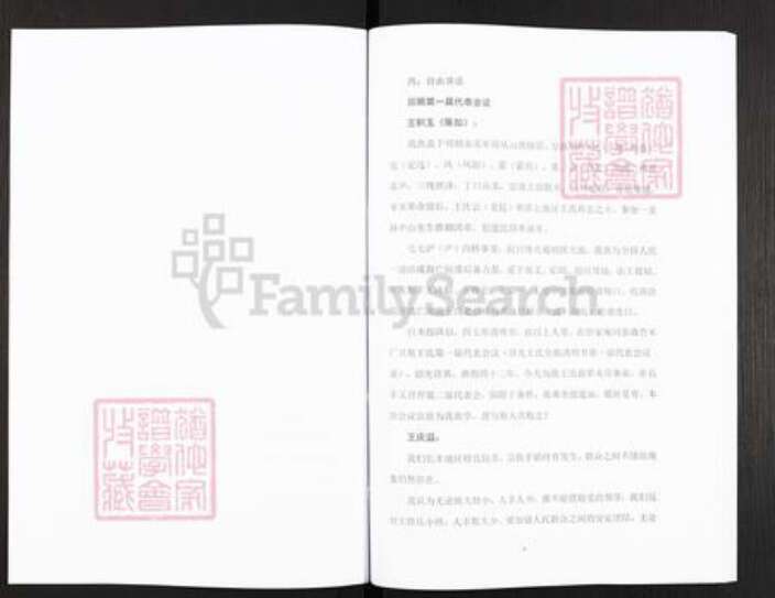 安徽省淮南市潘集区平圩镇王氏三槐堂族谱-王氏宗谱.pdf电子版预览图5