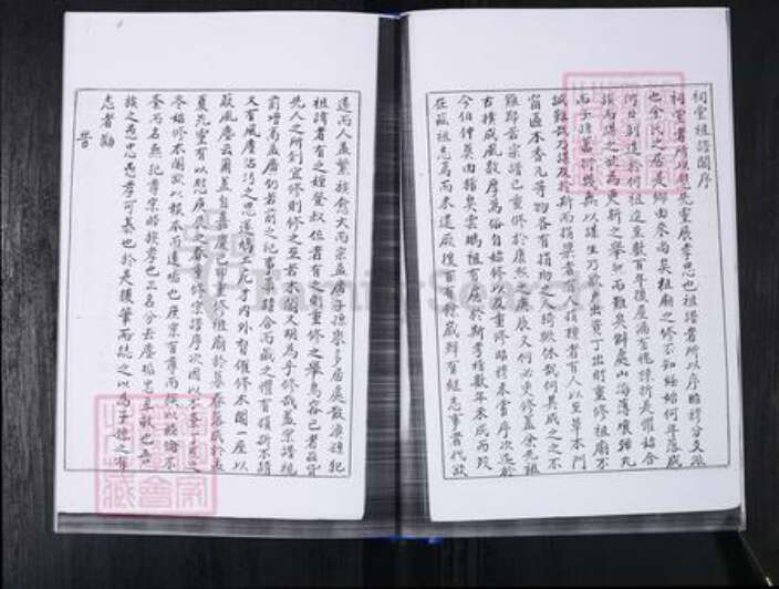 山东省青岛市崂山区王氏族谱-山东头社区王氏支谱.pdf电子版预览图5