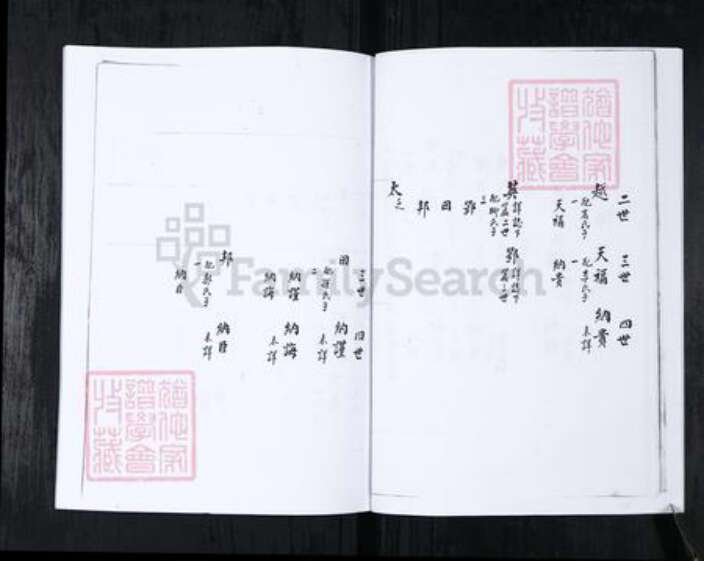 山东省青岛市崂山区王氏族谱-书院社区王氏族谱.pdf电子版预览图5