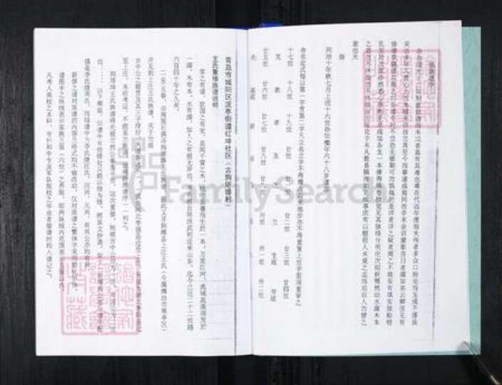 山东省青岛市王氏族谱-流亭红端口村王氏族谱.pdf电子版预览图5