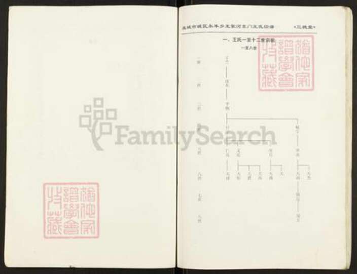 江苏省盐城市亭湖区新兴镇王氏三槐堂族谱-王氏宗谱.pdf电子版预览图5